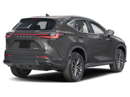 Cloudburst Gray 2025 Lexus NX 250 Premium