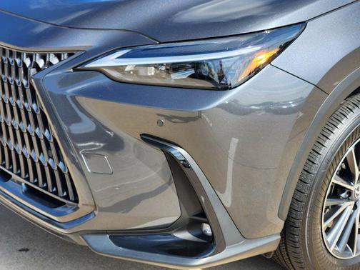 2025 Lexus NX 250 Premium