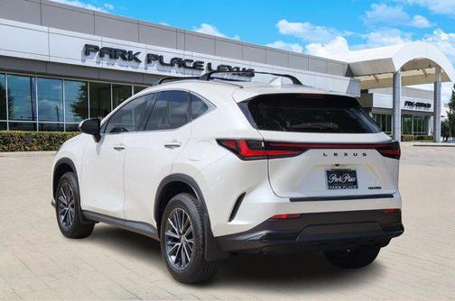 2025 Lexus NX 250 Premium