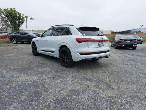 Glacier White Metallic 2023 Audi e-tron Premiumwe
