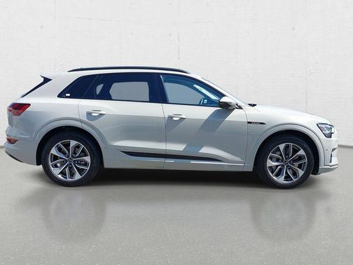 Siam Beige Metallic 2021 Audi e-tron Premium Plus