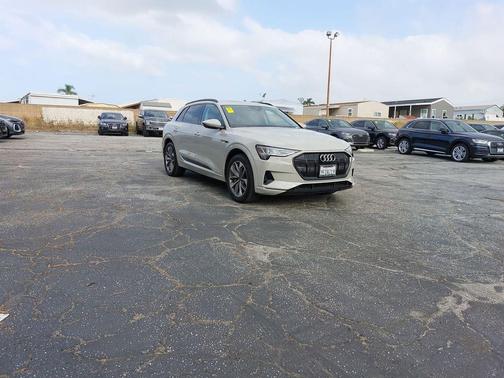 Siam Beige Metallic 2021 Audi e-tron Premium Plus