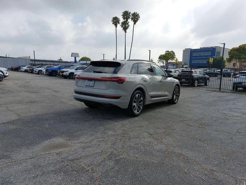 Siam Beige Metallic 2021 Audi e-tron Premium Plus