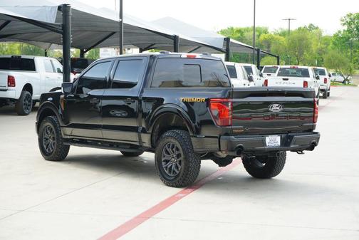 Agate Black Metallic 2025 Ford F-150 Tremor