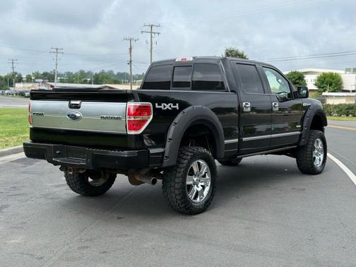 2014 Ford F-150 Platinum