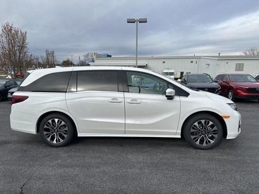 Platinum White 2026 Honda Odyssey Elite