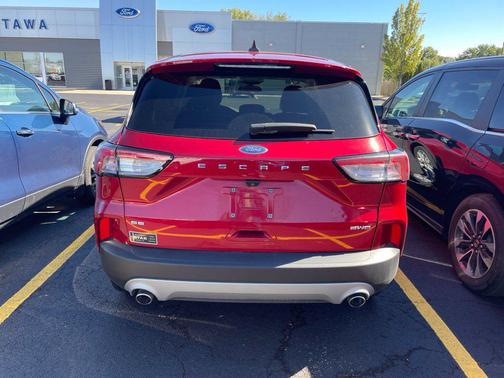 Rapid Red Metallic Tinted Clearcoat 2022 Ford Escape SE
