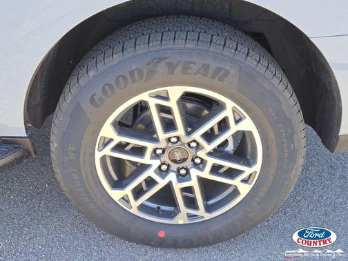 Glacier Gray Metallic Tri-Coat 2026 Ford Expedition Active