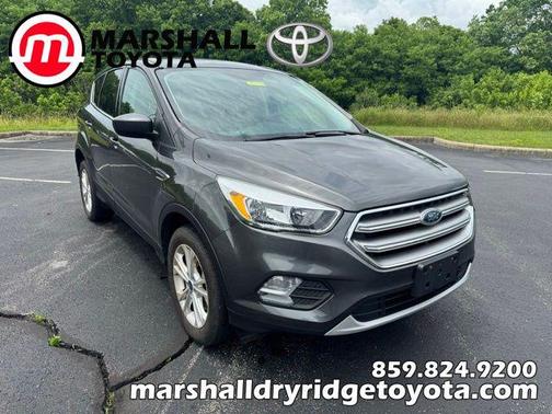 Magnetic 2017 Ford Escape SE