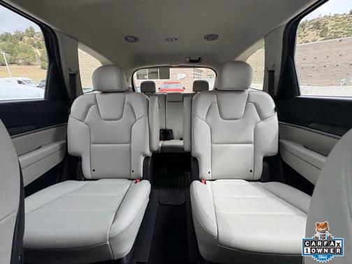 Panthera Metal 2025 Kia Telluride S