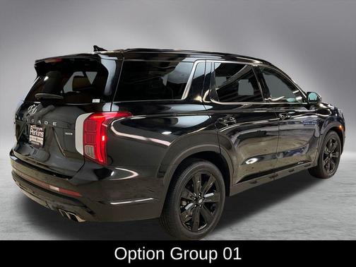 2024 Hyundai PALISADE XRT