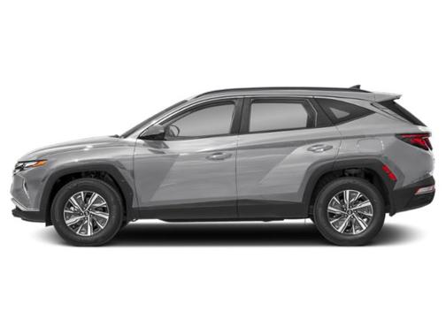 Shimmering Silver 2024 Hyundai TUCSON Hybrid Blue