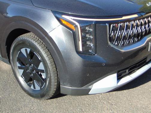 Panthera Metal 2026 Kia Carnival Hybrid LXS