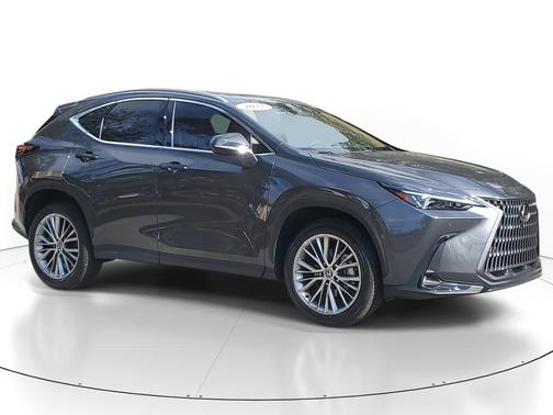 2025 Lexus NX 350 Premium