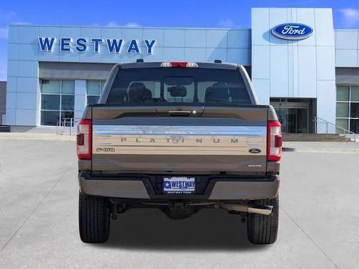 2021 Ford F-150 Platinum