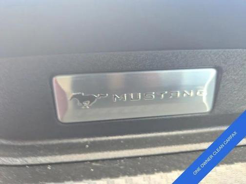 2022 Ford Mustang EcoBoost