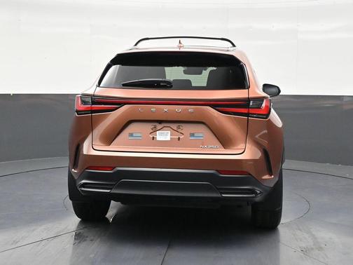 Copper 2025 Lexus NX 250 Base