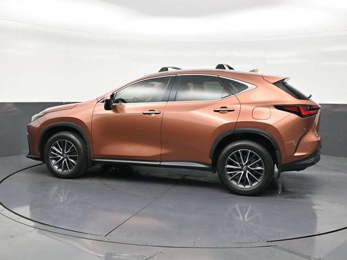 Copper 2025 Lexus NX 250 Base