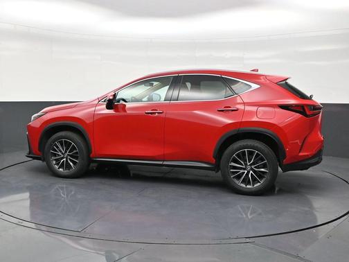 2024 Lexus NX 250 Premium