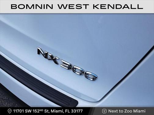2021 Lexus NX 300 F Sport