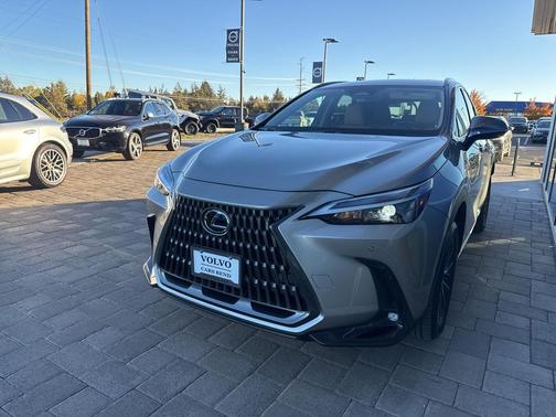 2025 Lexus NX 350h Premium