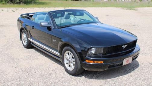 Black Clearcoat 2006 Ford Mustang Base