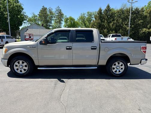 Pueblo Gold Metallic 2010 Ford F-150 XLT SuperCrew