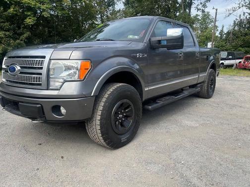 2010 Ford F-150 Platinum