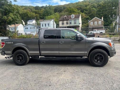 2010 Ford F-150 Platinum