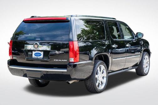 Black Raven 2010 Cadillac Escalade ESV Premium