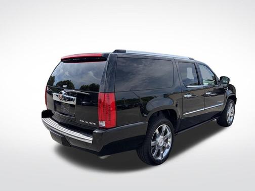 Black Raven 2010 Cadillac Escalade ESV Premium