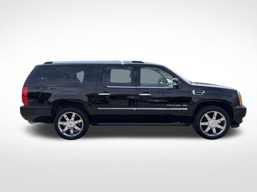 Black Raven 2010 Cadillac Escalade ESV Premium