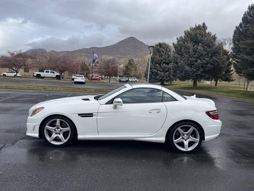 2014 Mercedes-Benz SLK-Class SLK 250