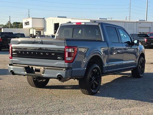 Azure Gray Metallic 2023 Ford F-150 Platinum