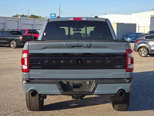 Azure Gray Metallic 2023 Ford F-150 Platinum
