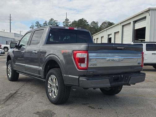 Gray Metallic 2023 Ford F-150 Platinum
