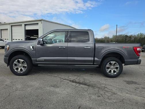 Gray Metallic 2023 Ford F-150 Platinum