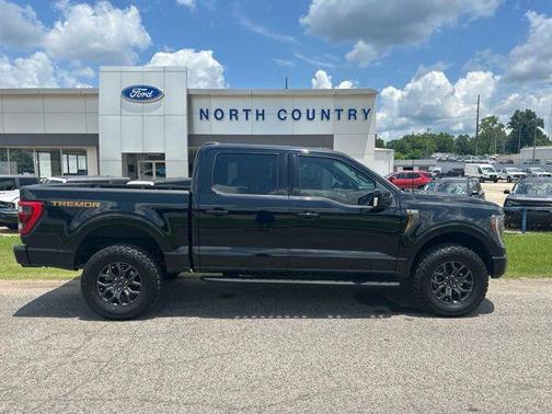 Agate Black Metallic 2023 Ford F-150 Tremor