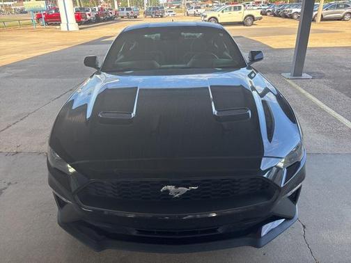 2022 Ford Mustang EcoBoost