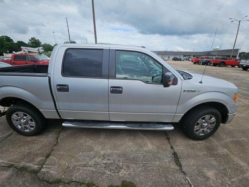 Ingot Silver 2012 Ford F-150 XLT