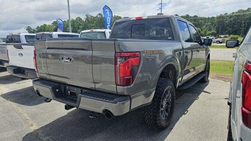 Marsh Gray 2026 Ford F-150 Tremor