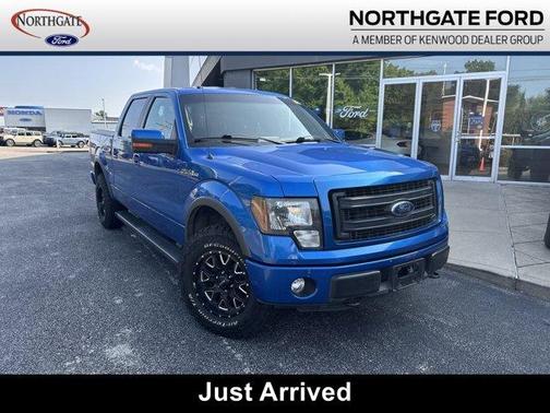 2013 Ford F-150 FX4