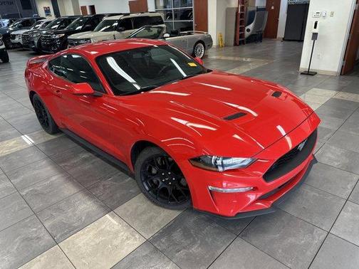 2019 Ford Mustang EcoBoost