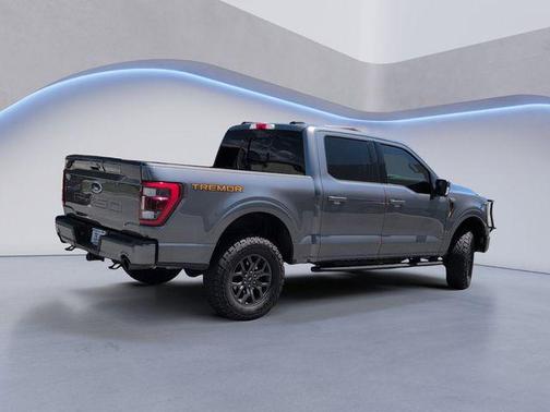Carbonized Gray Metallic 2023 Ford F-150 Tremor
