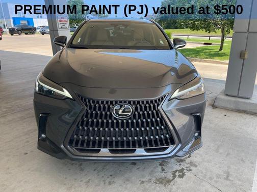 Gray 2025 Lexus NX 250 250 Premium