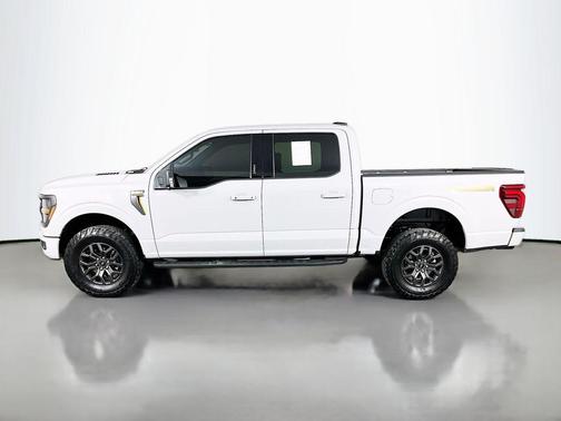 Avalanche Gray 2024 Ford F-150 Tremor