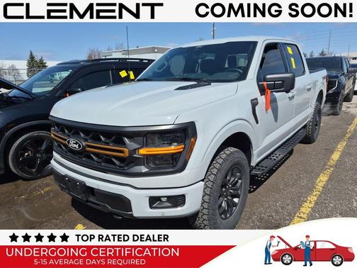 Avalanche Gray 2024 Ford F-150 Tremor