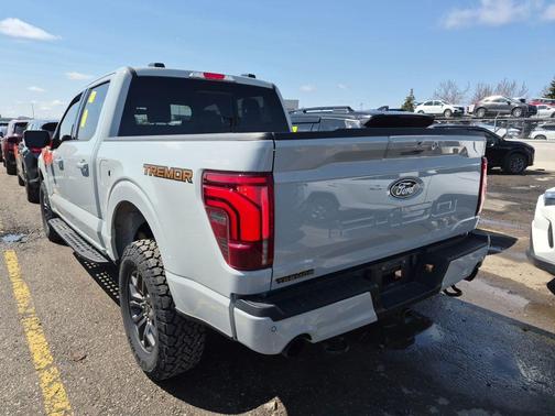 Avalanche Gray 2024 Ford F-150 Tremor