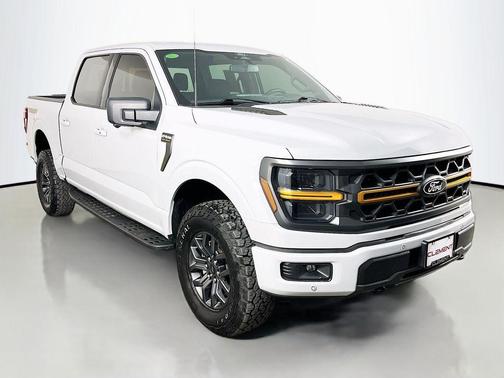 Avalanche Gray 2024 Ford F-150 Tremor