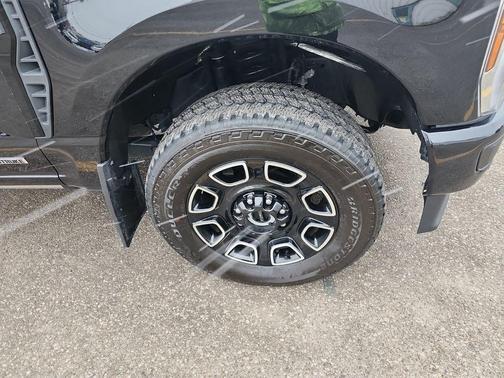 2025 Ford F-250 Platinum